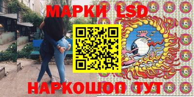 дживик Новозыбков