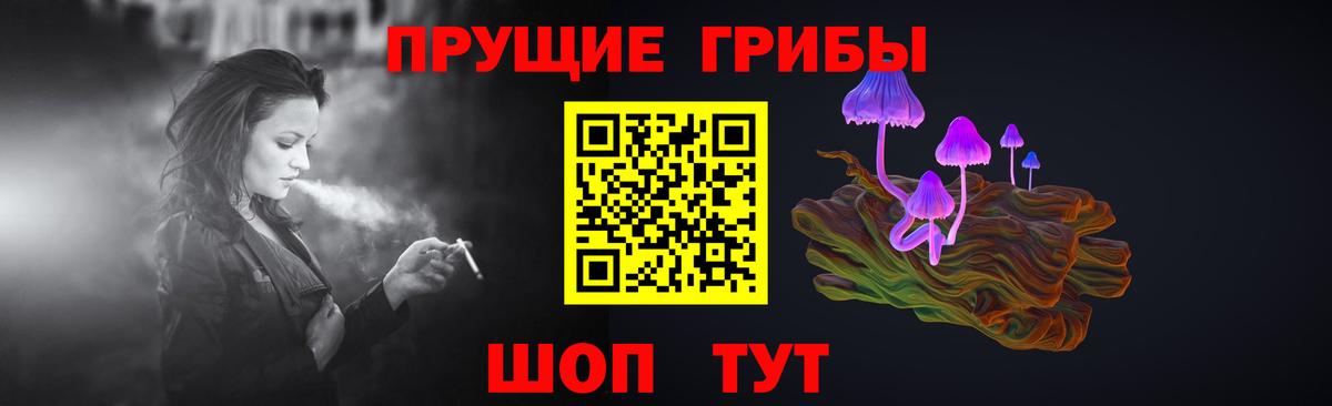 Галлюциногенные грибы Psilocybine cubensis  Псилоцибиновые грибы мицелий  Вход с VPN  Уварово 